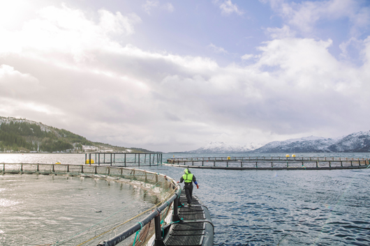 Aquakulturen in Norwegen