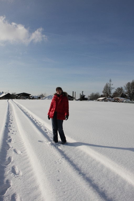 Https Encrypted Tbn0 Gstatic Com Images Q Tbn 3aand9gcrcqqy0blywj559w5tqmcug6kqi3yjwqwomog Usqp Cau