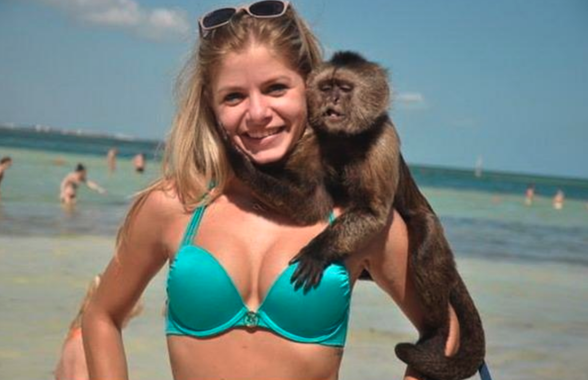Видео про телку. Обезьяна на пляже. Девушка обезьянка. Обезьяна с девушкой на пляже. Обезьяна в купальнике.