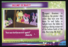 My Little Pony Falling to Safety MLP the Movie Trading Card