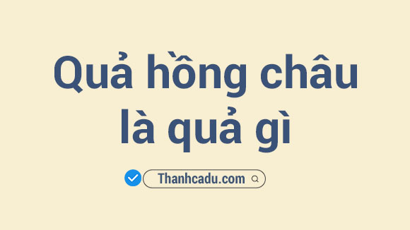 qua hong chau la qua gi, qua hong trau rung, cay hong chau