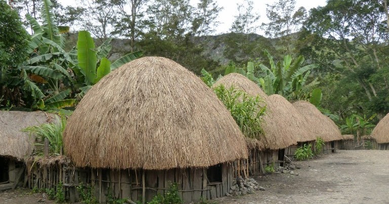 Download Nama Rumah Adat Papua Barat Pictures