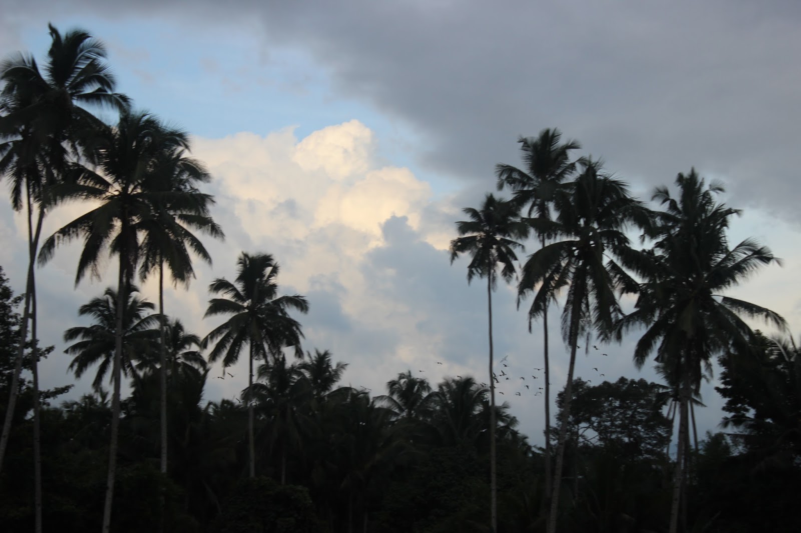 Lirik Lagu Bolaang Mongondow Oh Mama Arsia Lirik