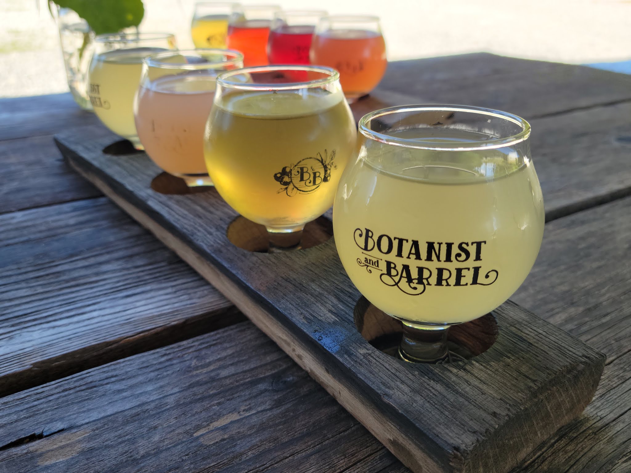 Raleigh Revealed The Haw River Wine Trail