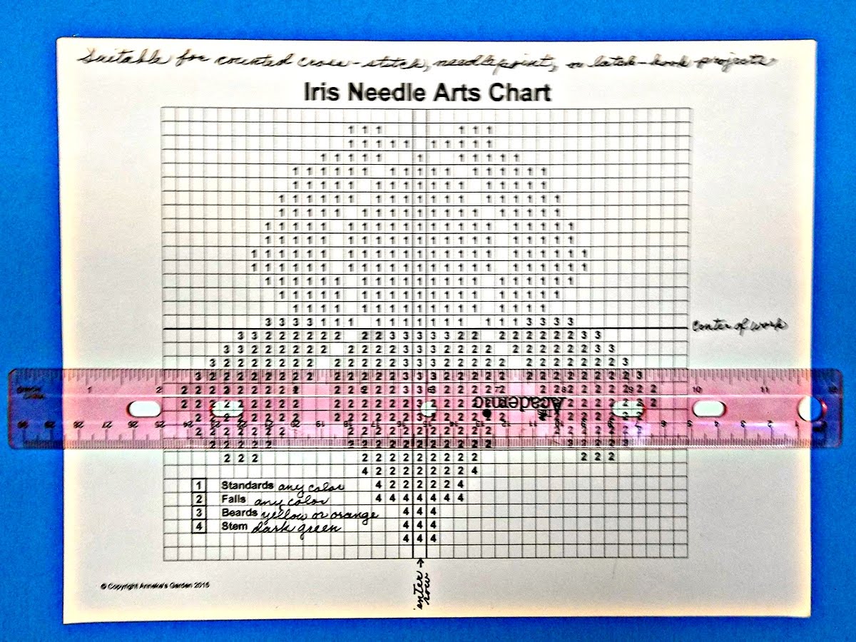 Irises Nature's Living Rainbows Cuttings from Annake's Garden
