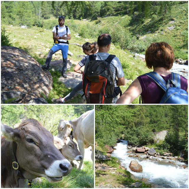 escursioni trekking passeggiate sentieri val di sole