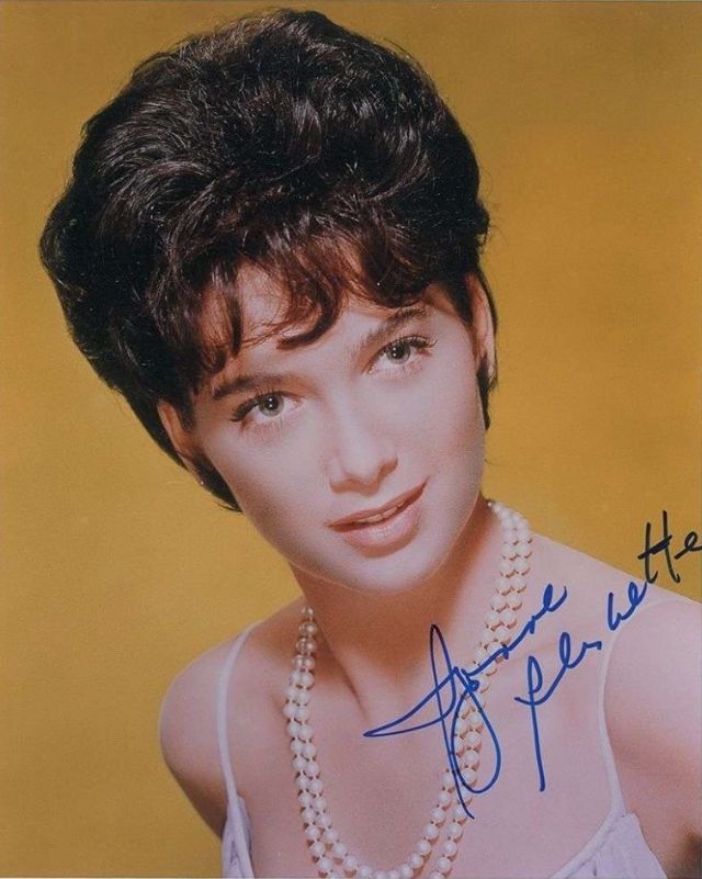 40 Glamorous Photos of Suzanne Pleshette in the 1960s Vintage Everyday 40 Glamorous Photos of Suzanne Pleshette in the 1960s Vintage Everyday