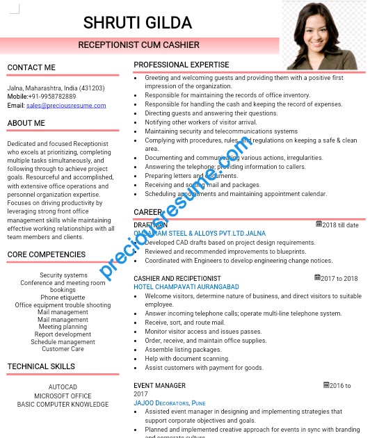 professional resume writers in india