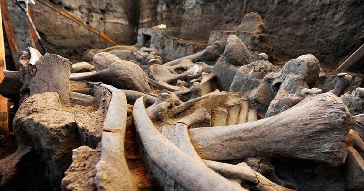 A Giant Mammoth Graveyard Was Just Discovered Outside Mexico City