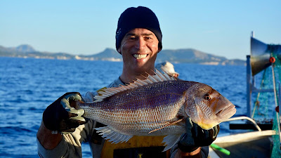 Análisis del real decreto de pesca-turismo 2019