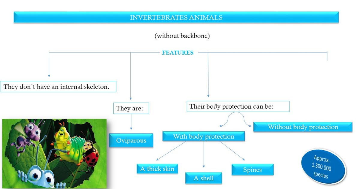 LEARNING INVERTEBRATE ANIMALS! | The Animal Kingdom