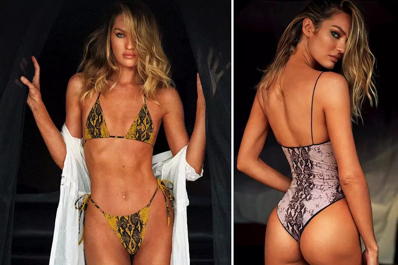 Candice Swanepoel Thân hình quyến rũ hút hồn 'bỏng mắt' 102 victoria s secret angel candice swanepoel slithers into snakeskin bikini 1214708883744337921