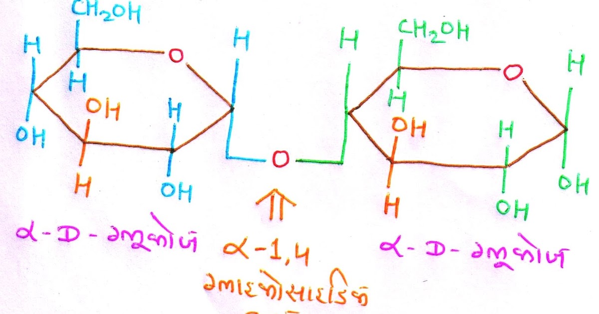 Carbohydrates Structure of Disaccharides and Polysaccharides