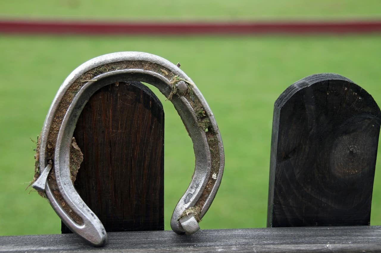 Ask a Farrier: Why Does My Horse Keep Losing Shoes?