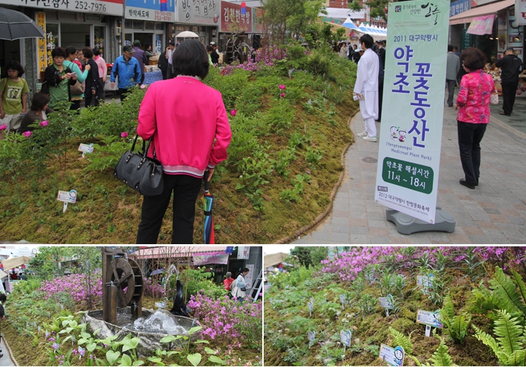 [Festival] Daegu Yakryeongsi Herb Medicine Festival 2012 (subtitle