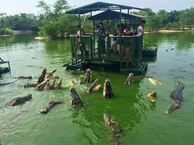 The Elephant Kingdom in Chonburi is the world’s most terrifying tourist attraction and among the most dangerous places in the world