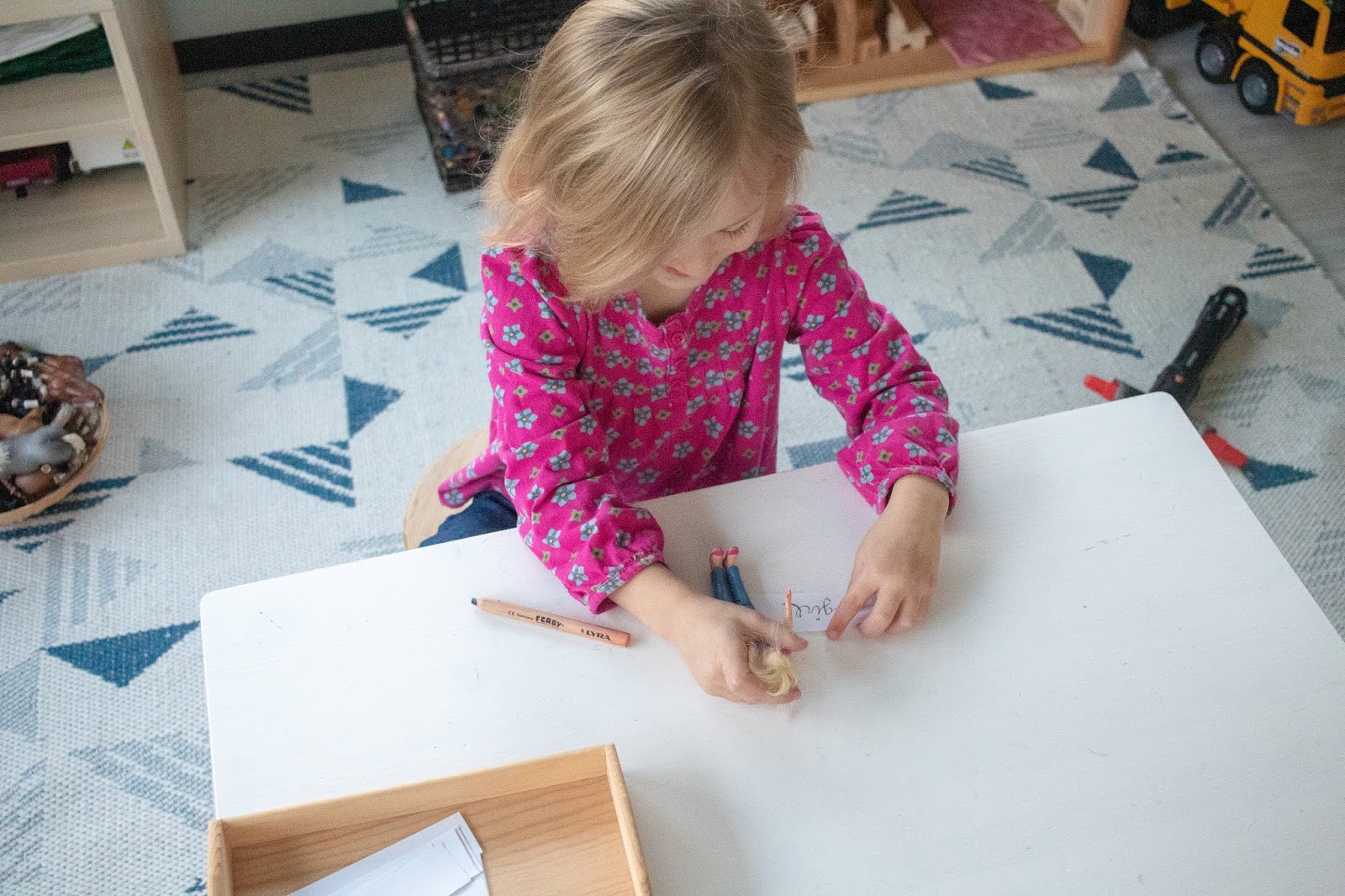 Labeling Games For Anatomy