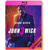 JOHN WICK: CAPÍTULO 3 – PARABELLUM (2019) BDREMUX 1080P MKV ESPAÑOL LATINO