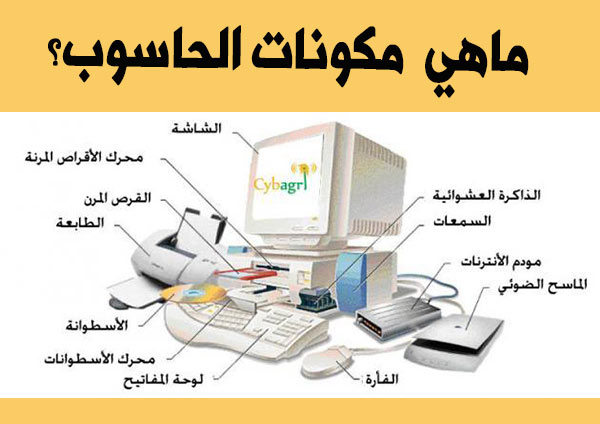 المكونات للحاسب الشاشة من تعتبر الأساسية من المكونات