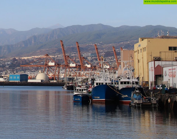 Gobierno regional y sector pesquero solicitan al Ministerio la mejora de la seguridad y las condiciones de trabajo de la flota canaria