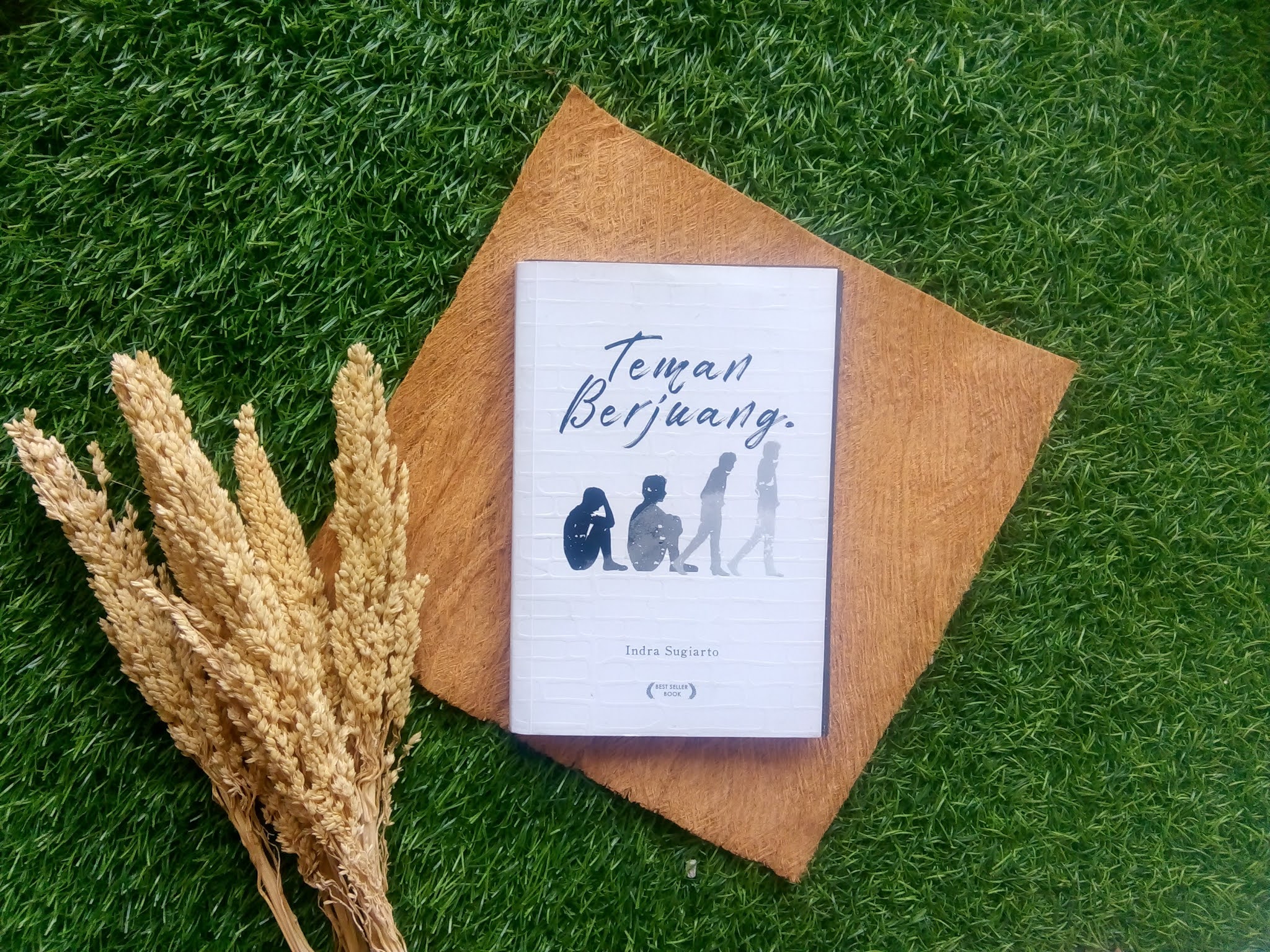 Review Buku Teman Berjuang Indra Sugiarto
