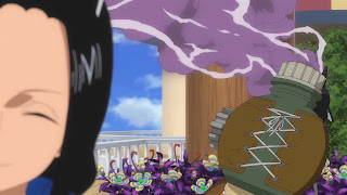 ワンピースアニメ | 麦わらの一味 海賊船 サウザンドサニー号 ウソップガーデン | THOUSAND SUNNY " Usopp Garden" | Hello Anime !