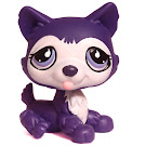 Littlest Pet Shop Multi Pack Husky (#900) Pet Littlest Pet Shop Multi Pack Husky (#900) Pet