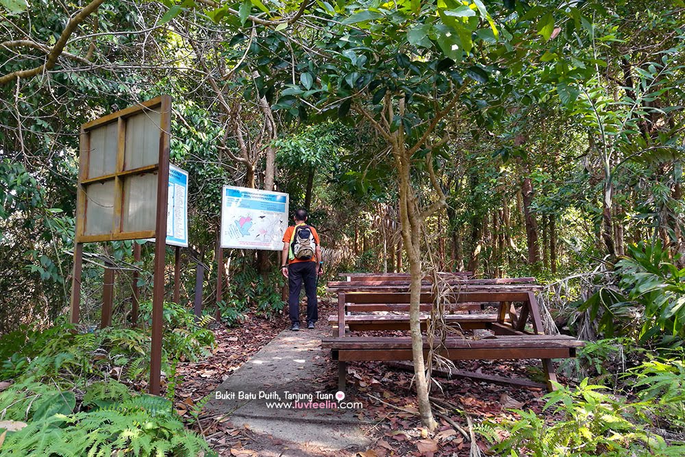 Putih tiram ulu batu bukit Hiking Bukit