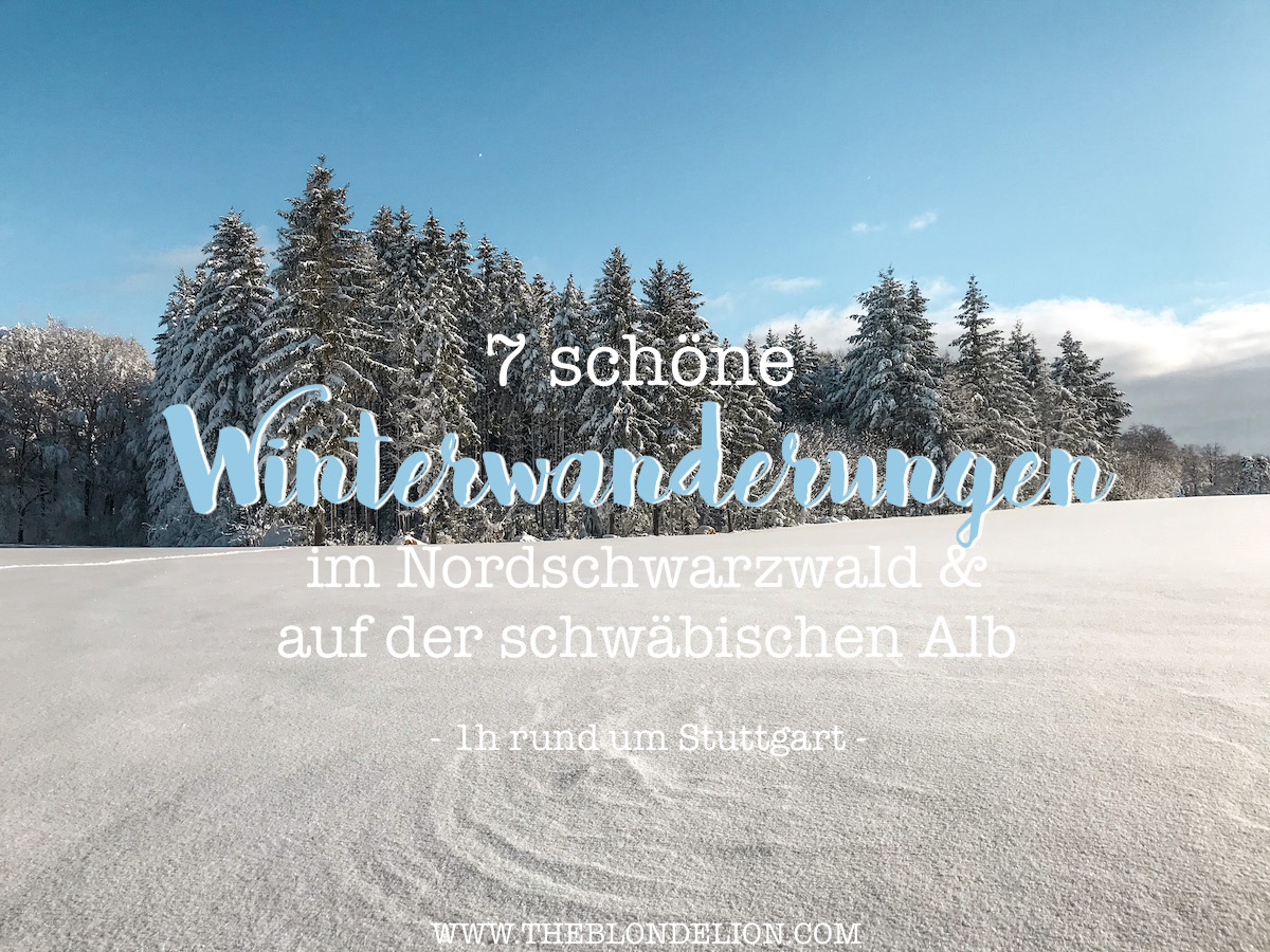 Winterwanderungen Nordschwarzwald schwäbischen Alb Wandern in Baden Württemberg HochAlbPfad Hossingen Albstadt Tiefschnee