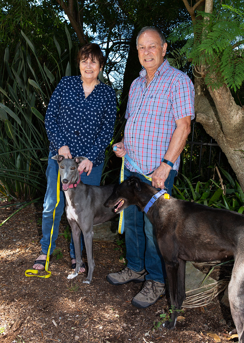Greyhound Rescue celebrates 10 years with Fundraising Dinner July 6
