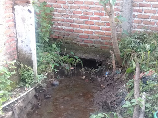 Gorong.2 Mampet, Air Selokan Genangi Dua Rumah Depan Pagar Masuk SMK 3 Bondowoso. Gorong.2 Mampet, Air Selokan Genangi Dua Rumah Depan Pagar Masuk SMK 3 Bondowoso.