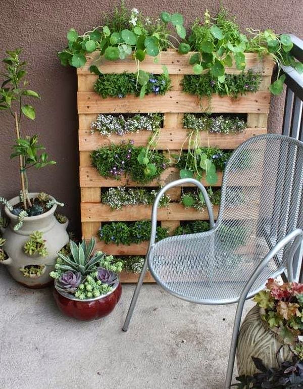 Tips for the home garden during September