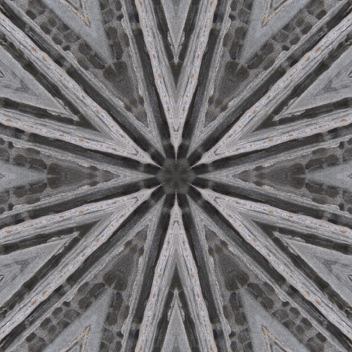 Fab FabricationsKaleidoscopes from Nature Images Emphasizing Geometry