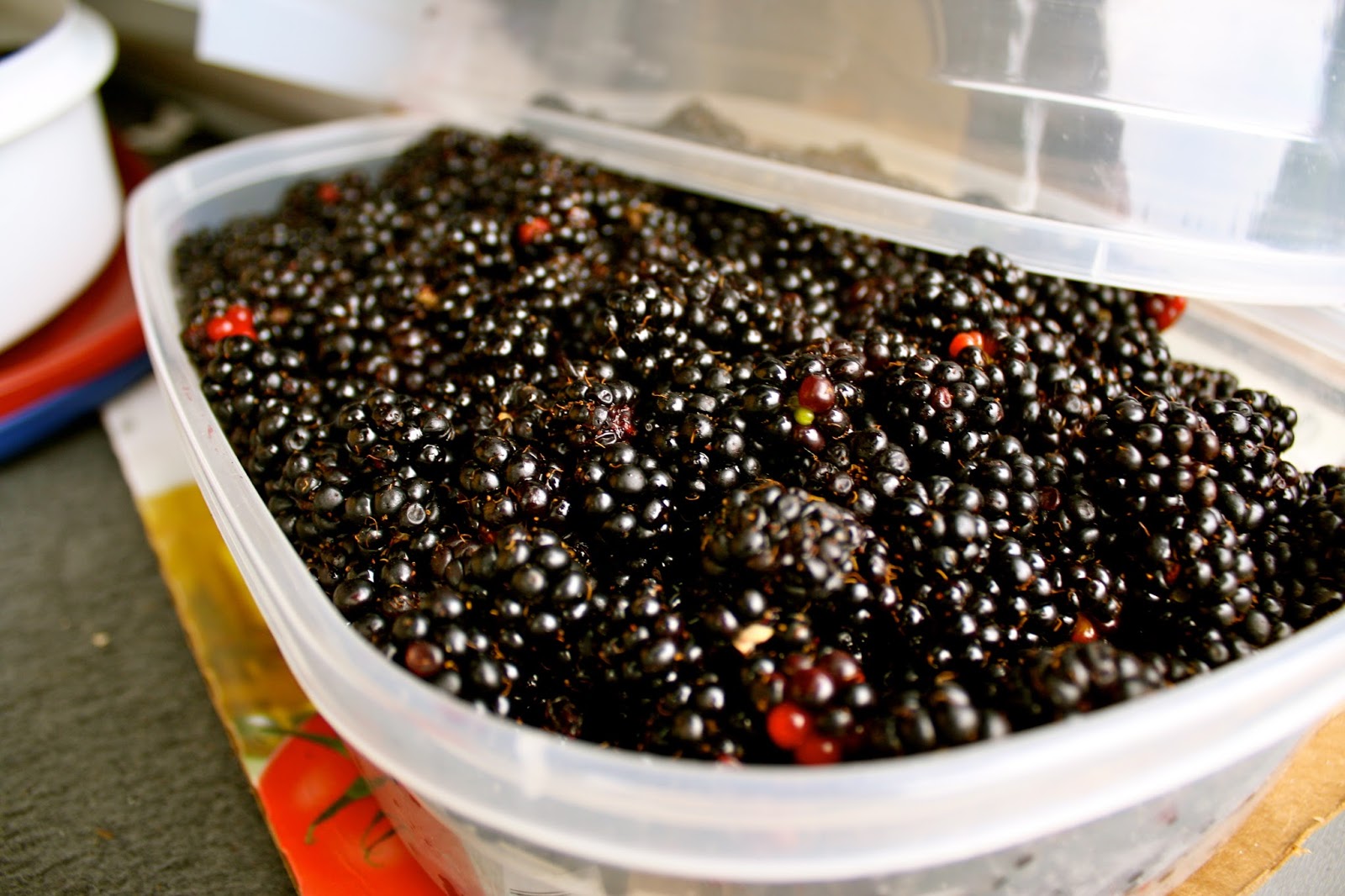 Reasonably Well Blackberries Made Easy