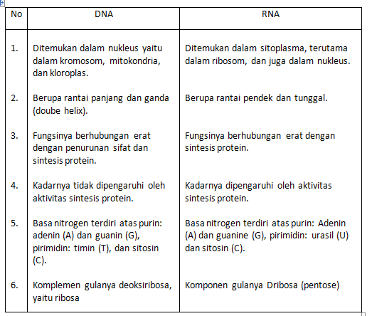 Kumpulan Soal Esai Dan Jawaban Materi Biologi Sistem Pernapasan