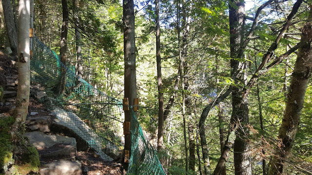 Vue à partir du sentier Mestashibo