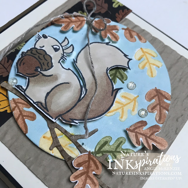 By Angie McKenzie for Stamping INKspirations Blog Hop; Click READ or VISIT to go to my blog for details!  Featuring the Nuts About Squirrels Photopolymer Stamp Set, Intricate Leaves Dies, Pattern Play Host Designer Series Paper, and Timber 3D Embossing Folder by Stampin' Up!® to create a harvest time themed card.