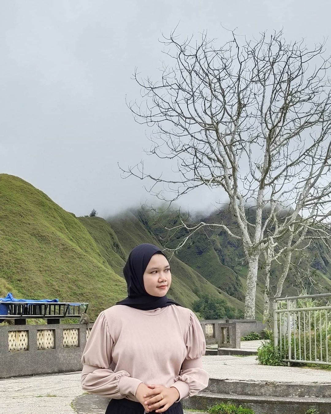 Taman Wisata Pusuk Sembalun Lombok Populer 2021
