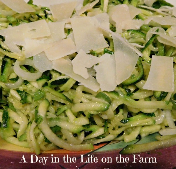 A Day in the Life on the Farm: Zoodle Slaw #CooktheBooks