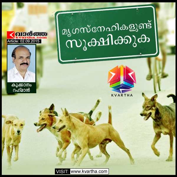 Kookanam-Rahman, Article, Dog, Attack, Natives, Injured, Hospital, Pet Dogs.
