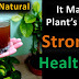 Best natural and free fertilizer for plants , Homemade and Organic