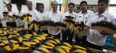 Otoritas Indonesia Sita Puluhan Awetan Burung Cenderawasih