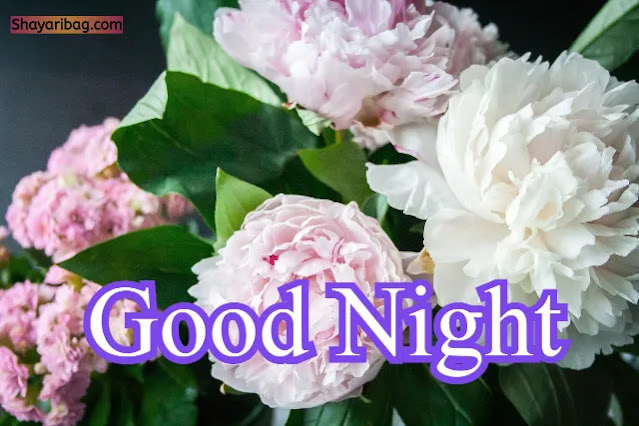 Good Night Cute Flowers Images Good Night Cute Flowers Images