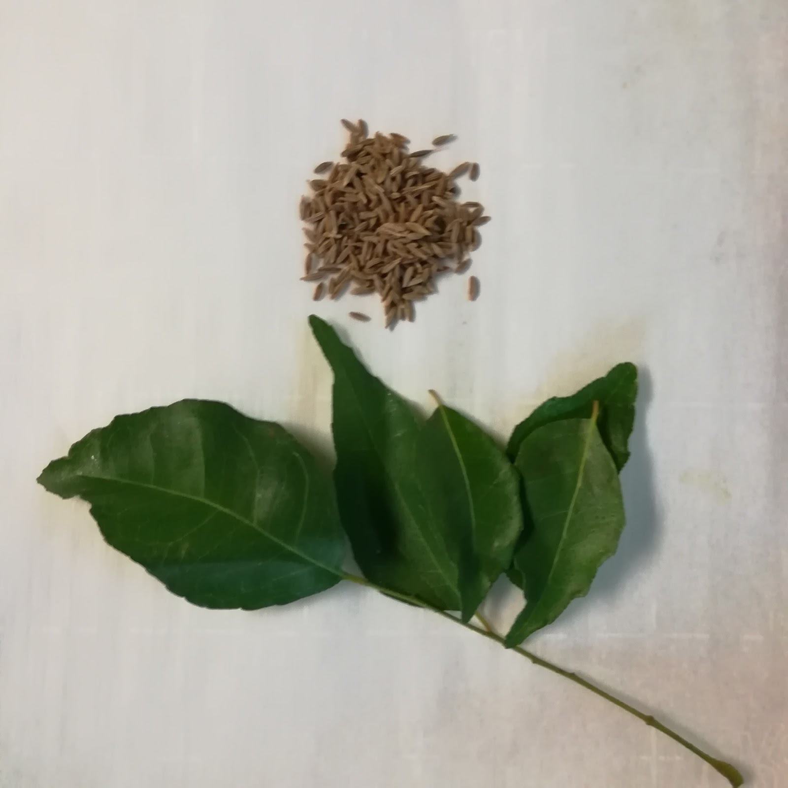 Spicetruck Indian Cuisine