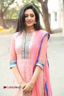 Actress Vimala Raman Stills in Beautiful Pink Salwar Kameez at (ONV) Om Namo Venkatesaya Press Meet  0059