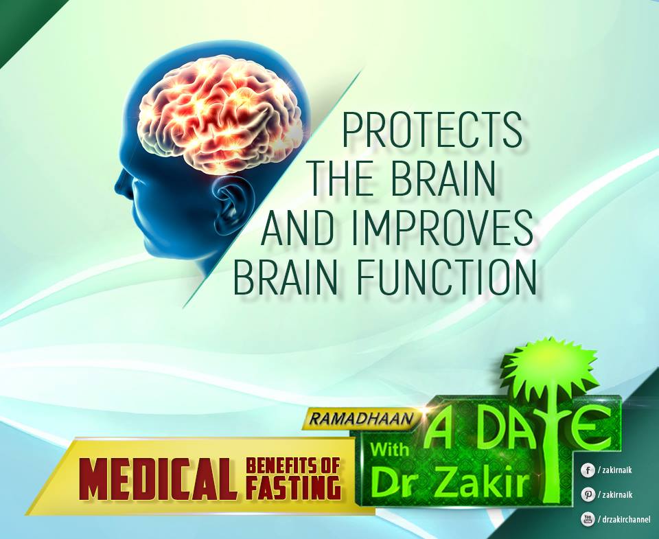 PROTECTS+THE+BRAIN+AND+IMPROVES+BRAIN+FUNCTION