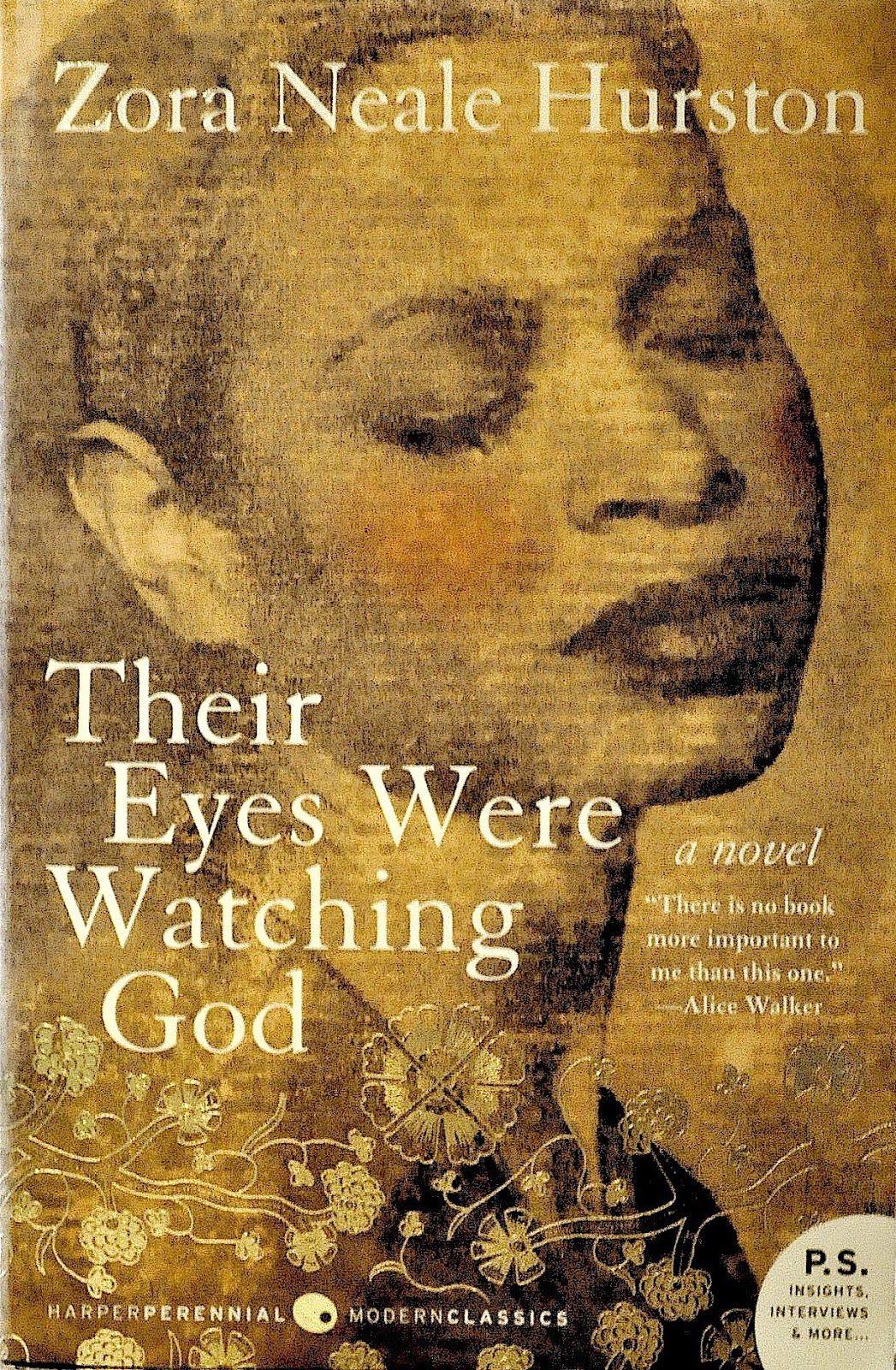 their eyes were watching god summary of book