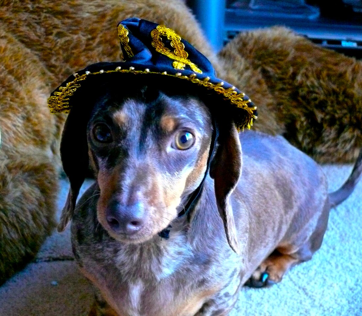 The Orchard Tea Room Farm Shop 2016 the-orchard-tea-room-farm-shop-2016