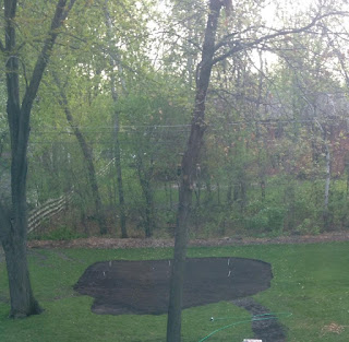 blog, Minnesota, back yard, swing set, slide, sandbox, play area, children, kids, sump pump, grass, sod, rubber mulch