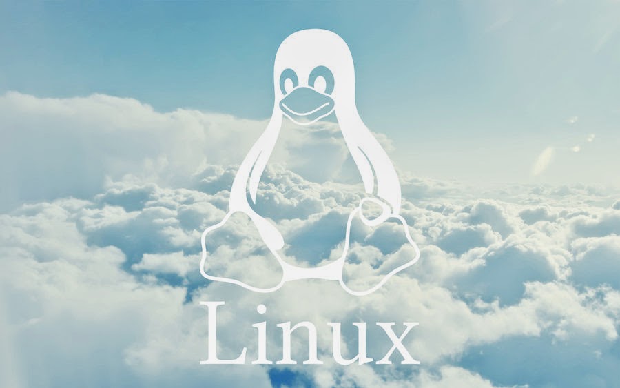 Linux Containers and the Future Cloud